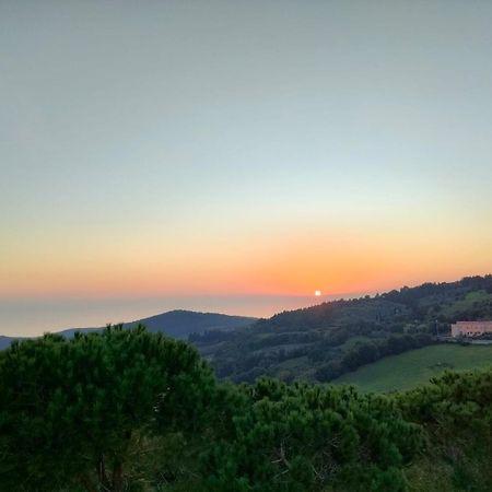 Vista Sulle Isole Dell'Arcipelago Toscano Nibbiaia Pokój zdjęcie